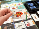 Finspan: Sharks & Reefs Expansion