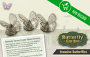 Butterfly Garden: Invasive Butterflies Mini-Expansion