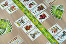 Schotten Totten (SEE LOW PRICE AT CHECKOUT)