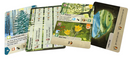 Forest Shuffle: Exploration Expansion
