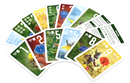 Pixies: Flower Power Expansion