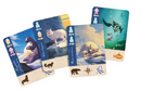 Borealis: Arctic Expeditions