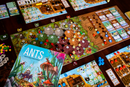 ANTS
