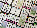 Wingspan: Americas Expansion