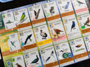 Wingspan: Americas Expansion