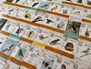 Wingspan: Fan Art Pack