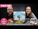 Planta Nubo
