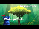 Photosynthesis