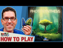Photosynthesis