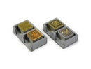 Box Insert: Agricola